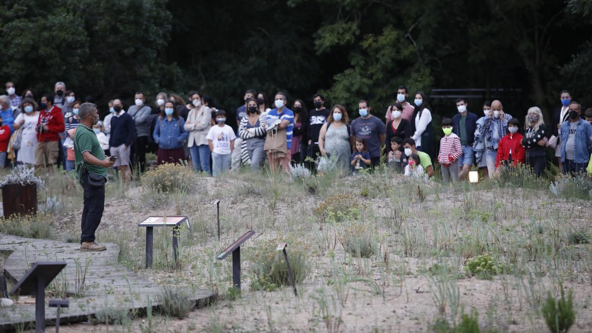 Espectáculo nocturno en el Jardín Botánico Atlántico de Gijón