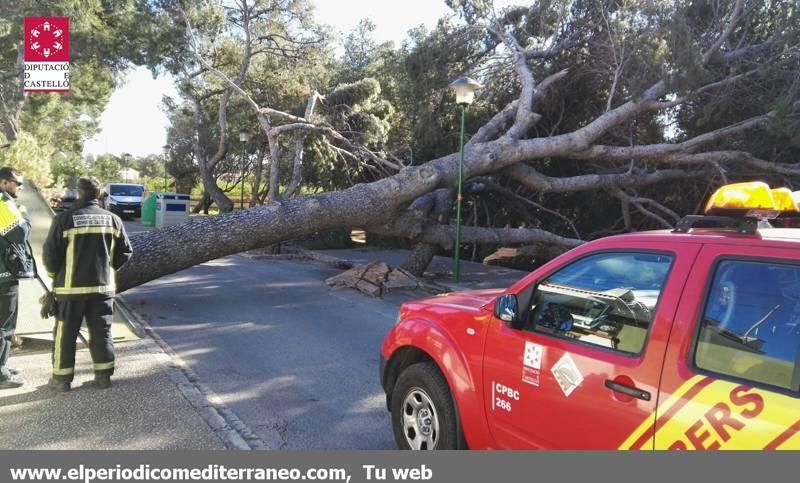 Vendaval en Castellón