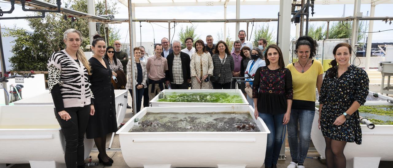 Visita de los miembros de las delegaciones de las Universidades del País Vasco y de Vigo, a las instalaciones del BEA en el Parque Marino de Taliarte de la ULPGC.