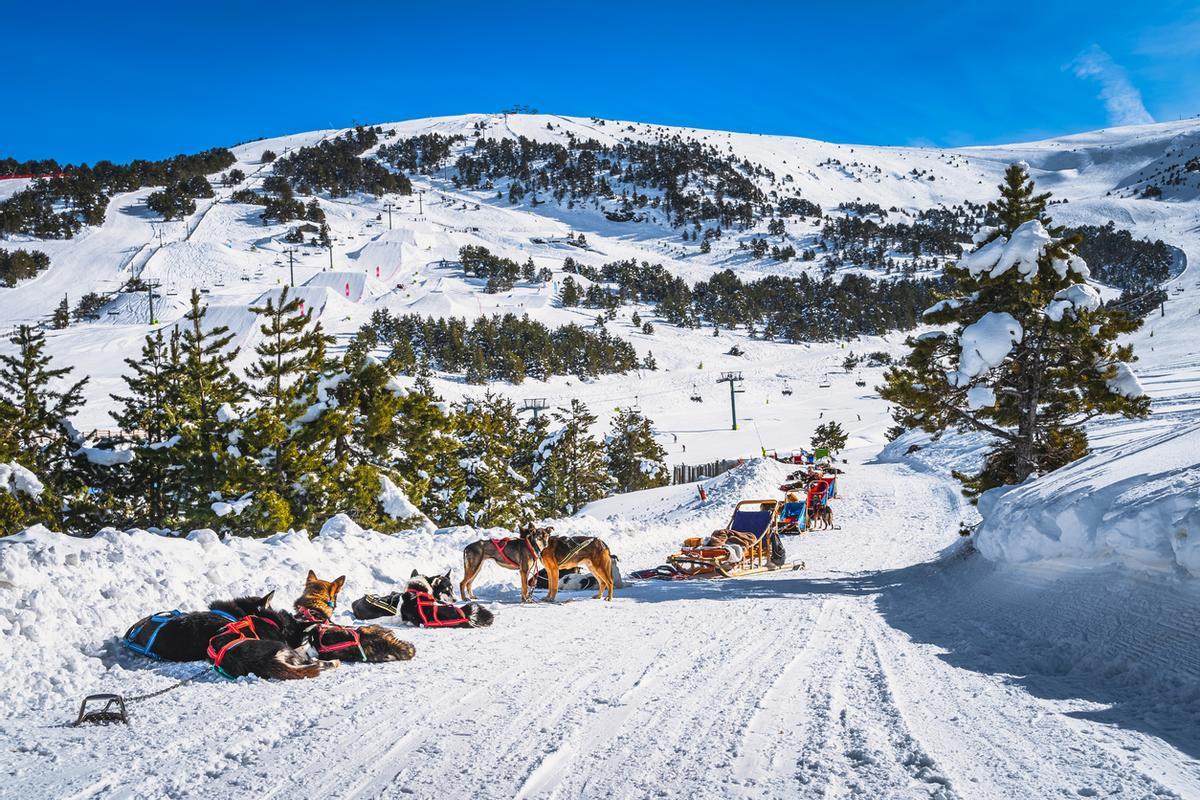 El mushing, que consiste en recorrer la nieve abordo de un trineo tirado por perros, es una de las actividades más populares