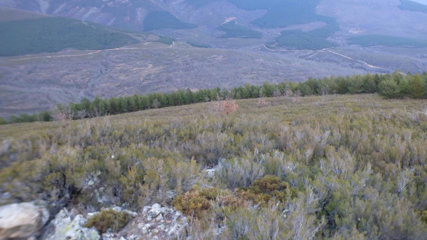 Ecologistas Zamora presenta alegaciones contra el parque eólico de la Requejada