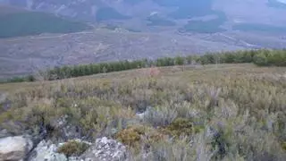 Ecologistas Zamora presenta alegaciones contra el parque eólico de la Requejada