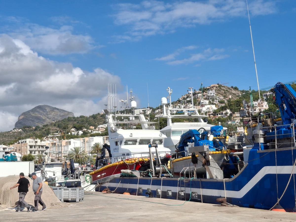 Actividad frenética en el puerto de Xàbia: las imágenes de la descarga de los atunes