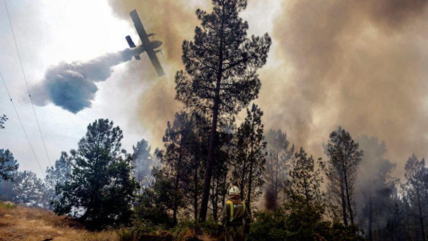 El fuego registrado en Ourense, estabilizado // BRAIS LORENZO