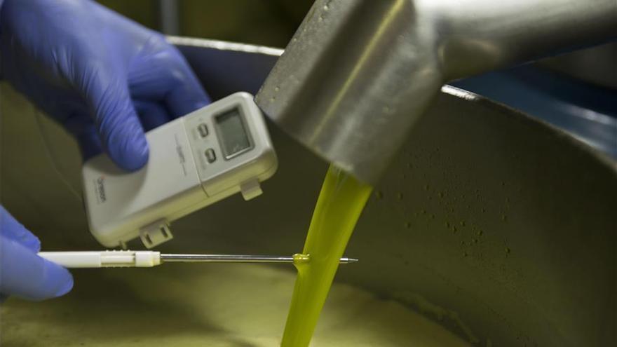 La UCO valida un nuevo método más rápido y fiable para categorizar el aceite de oliva