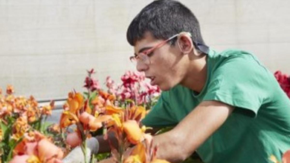 Programa Incorpora Salud Mental