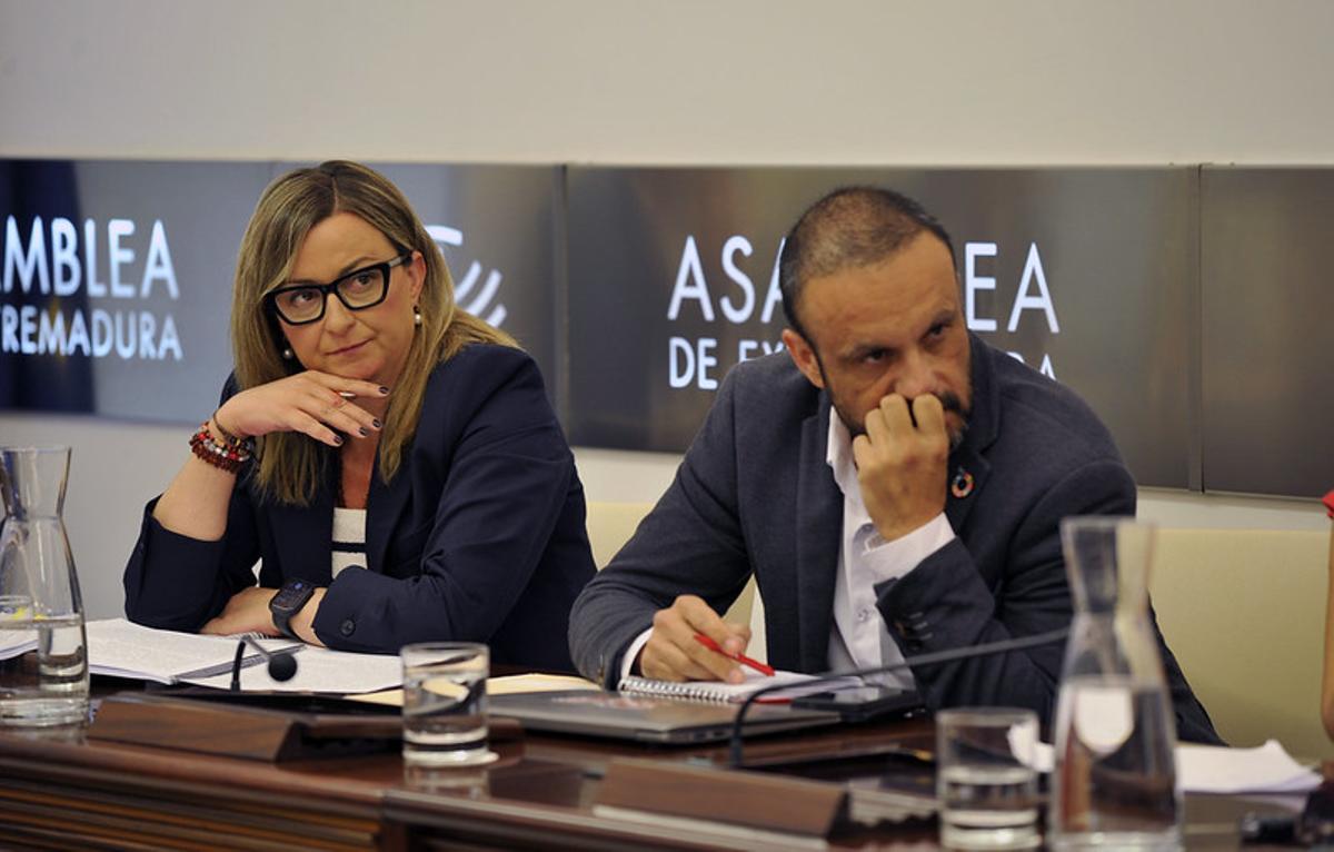 Blanca Martín, portavoz del grupo socialista, durante la comisión parlamentaria de esta mañana.