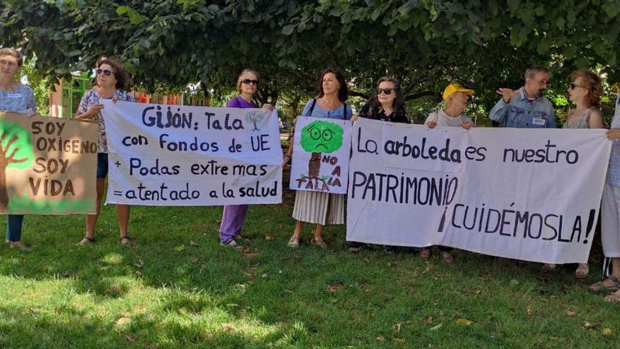 La reforma de Electra respetará el núcleo de arbolado del parque