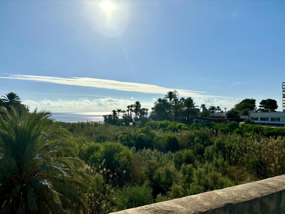 Estado actual del tamo final del río Nacimiento