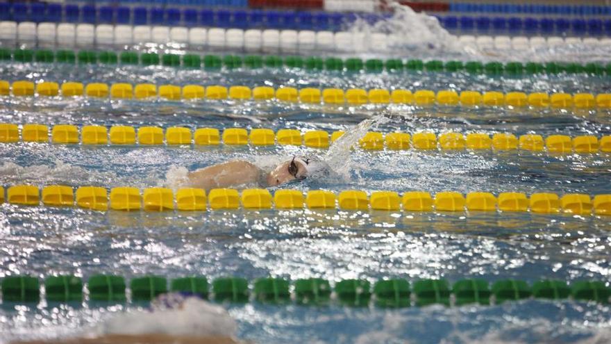 La piscina de Benicàssim  pone en marcha una iniciativa en favor de oeneges locales