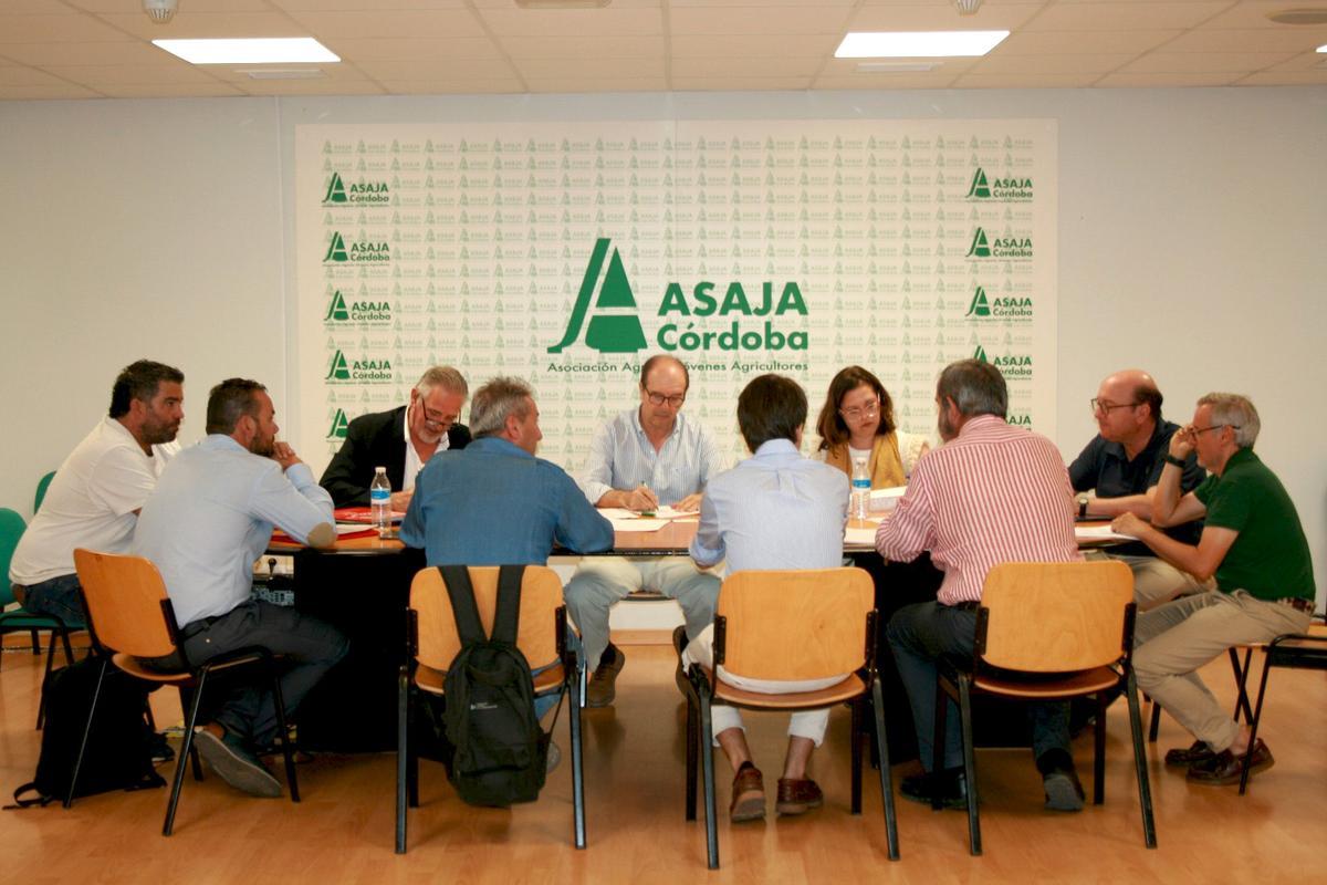 UGT FICA Córdoba consolida su liderazgo sindical.