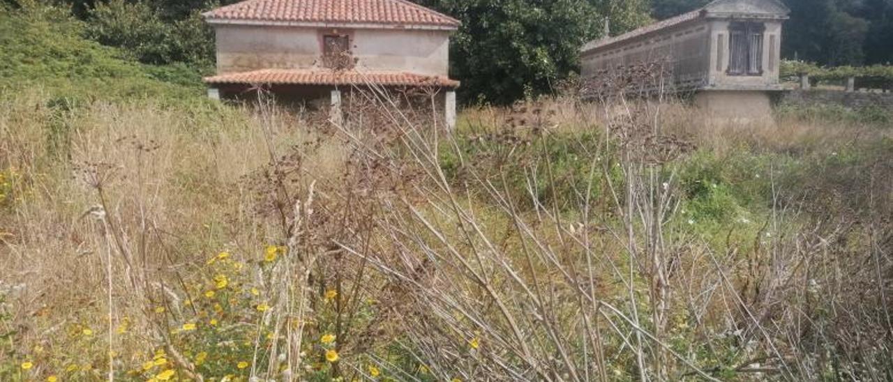 La Casa das Cunchas, parcialmente oculta por la maleza de esta finca extramuros del pazo. | // LA OPINIÓN