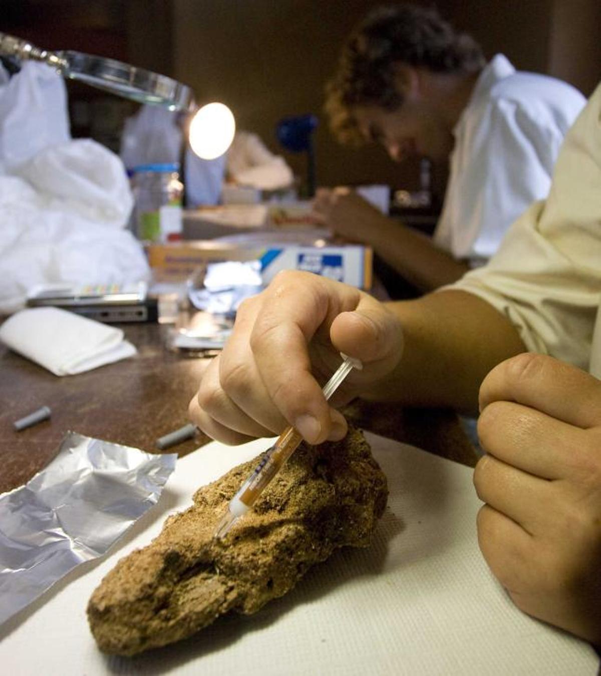 El hallazgo de madera en el castillo de Gauzón abre más vías de investigación arqueológica