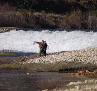 Una trucha capturada en un "refugio de pesca" de Zamora costaría 4.500 euros a un furtivo