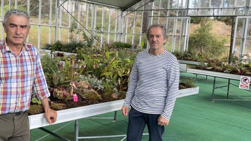 Plantas carnívoras y sanidad verde para celebrar el Día del Medio Ambiente
