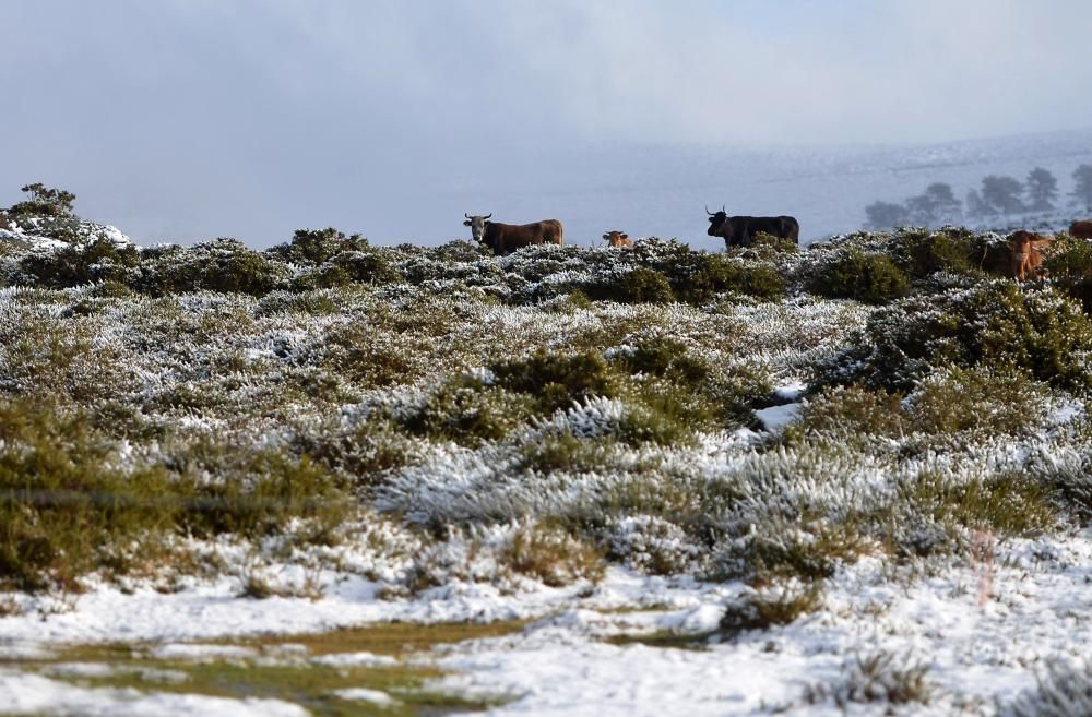 Las primeras nieves llegan a la comarca