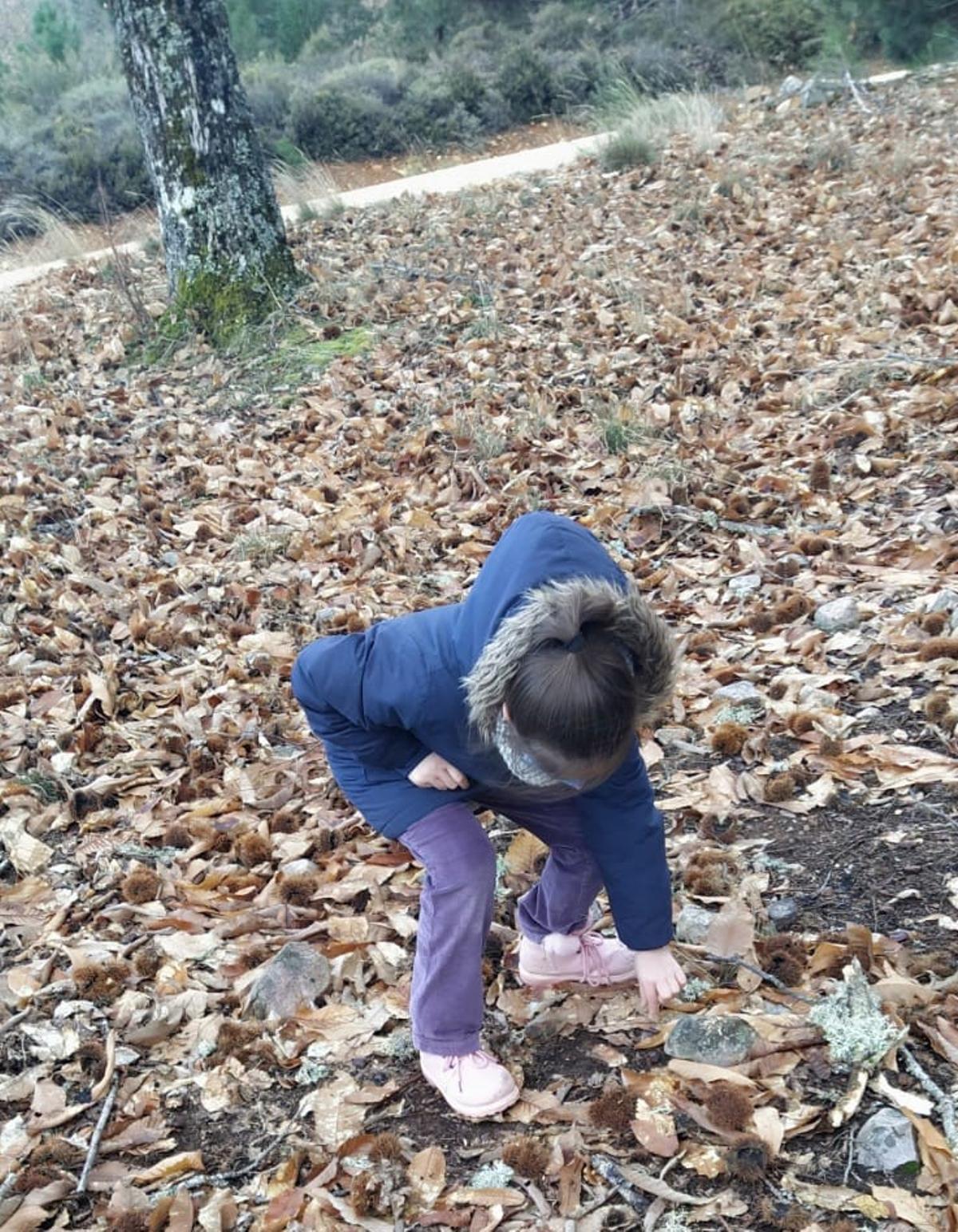 La pequeña Alba recoge setas en Ferreras.