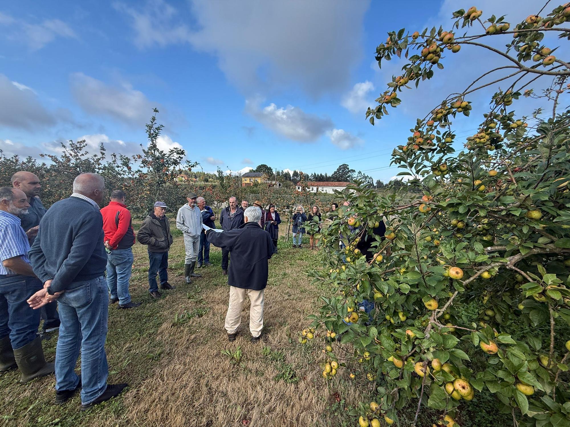 El SERIDA explica sobre el terreno las medidas de protección contra las plagas de roedores en pomaradas