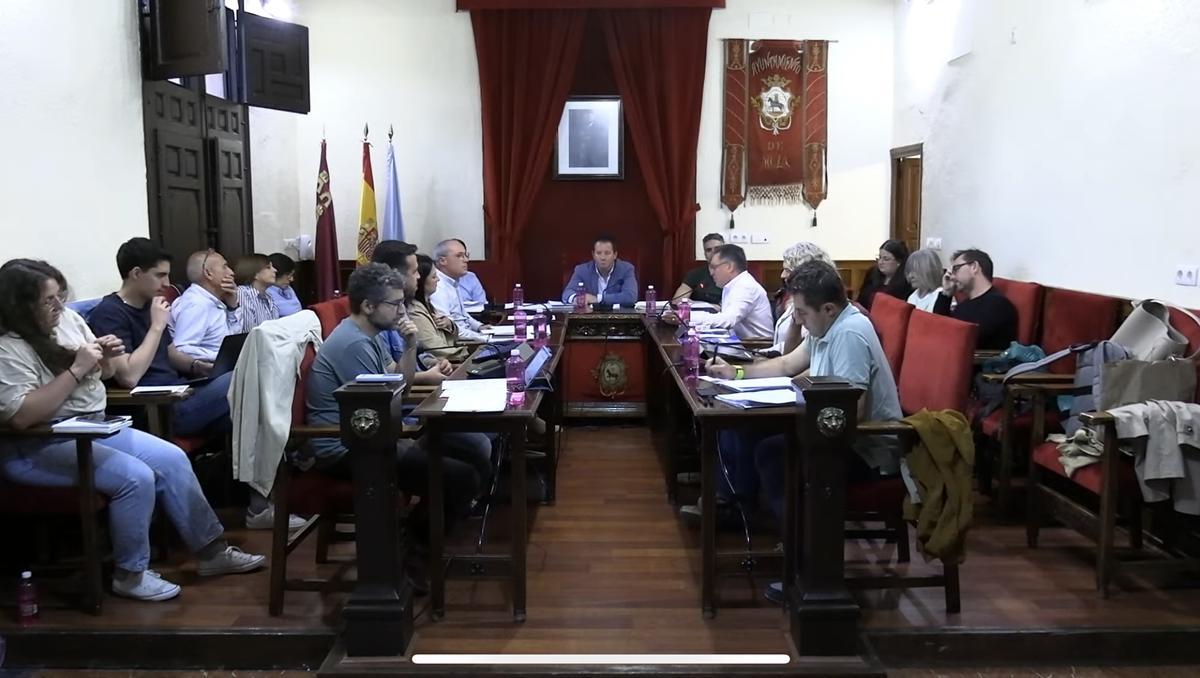PSOE, PP, IU y Vox ratifican el acuerdo para evitar una implantación descontrolada de proyectos en el municipio