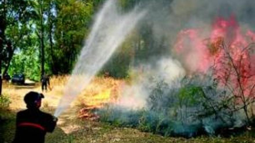 Los bomberos tardan cinco horas en sofocar un fuego junto al Guadiana