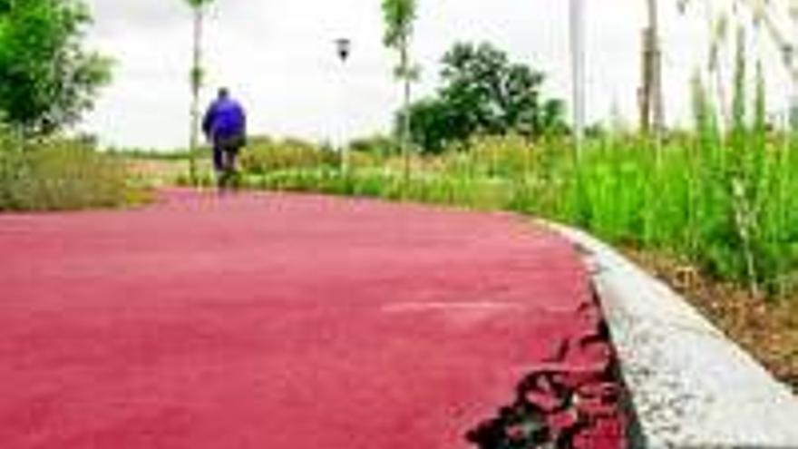 La maleza se apropia de las zonas verdes de la carretera de Valverde que nadie cuida