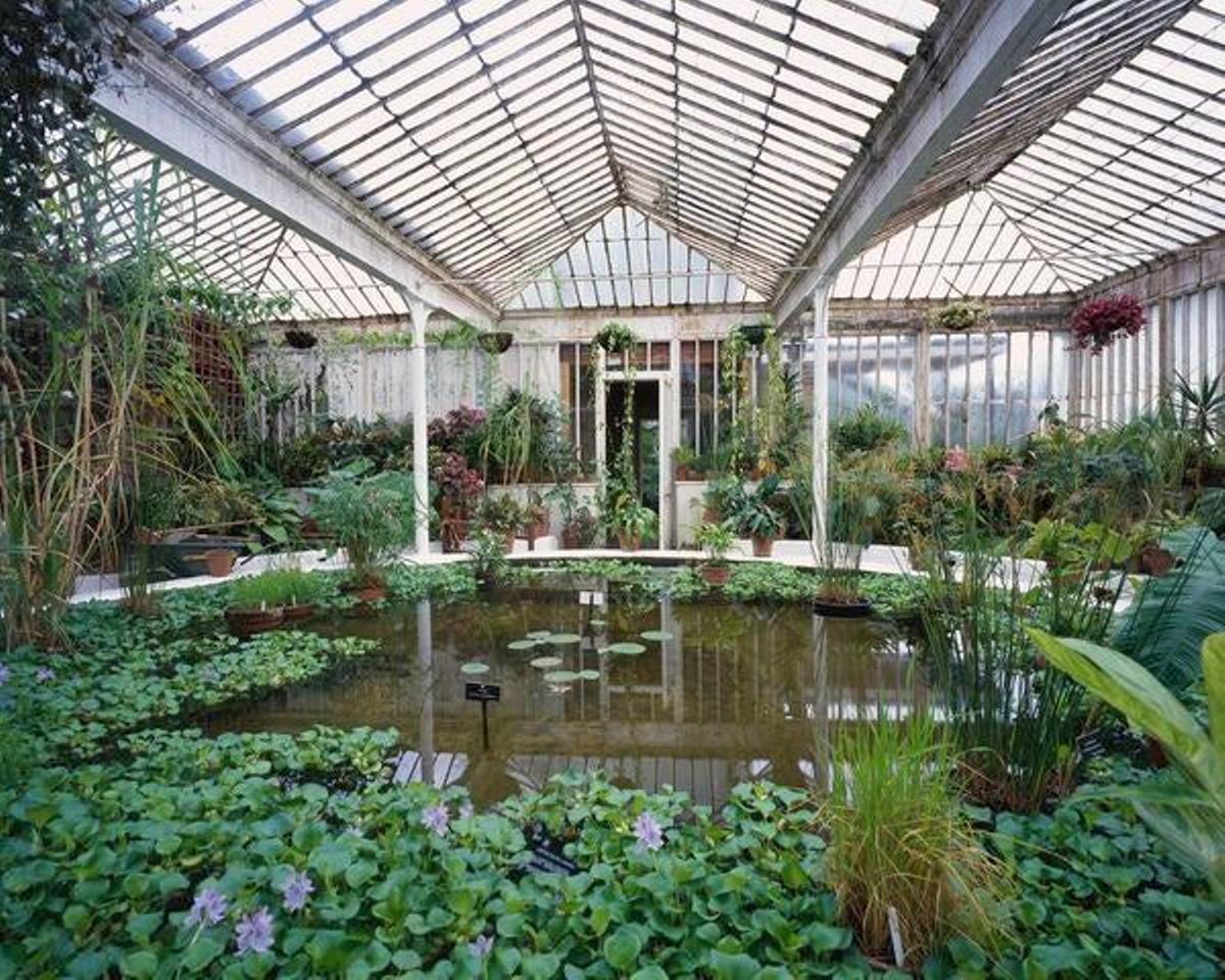 En su interior alberga 15.000 especies de plantas