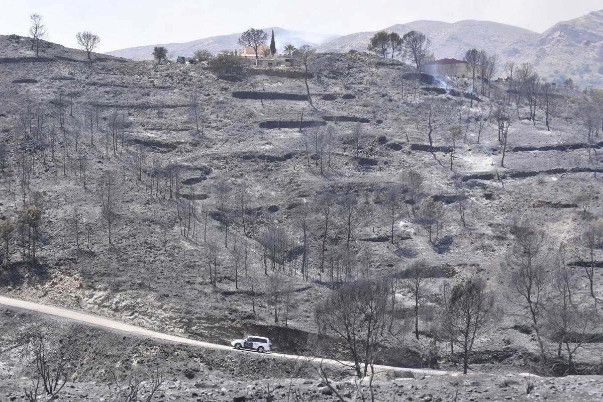 Incendio de Los Gallardos, en imágenes
