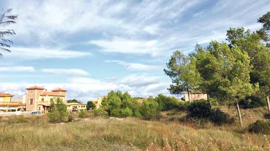 Terreno de Can Picafort de propiedad municipal que ha sido cedido al Govern para construir el colegio.