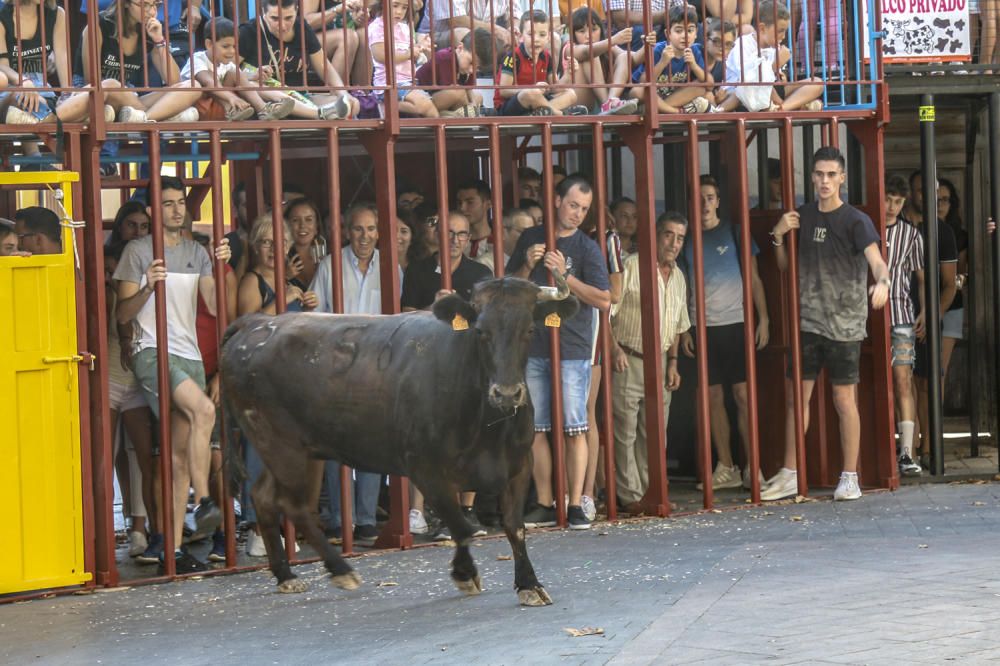 Fiestas de la Vaca de Castalla.