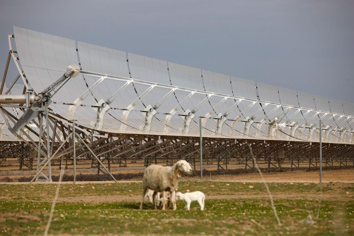 Imagen de archivo de una planta fotovoltaica