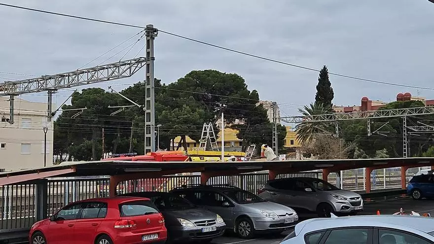 Vídeo: Un enjambre de abejas obliga a actuar a Policía y bomberos en Oropesa