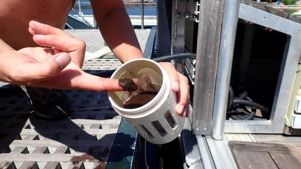 Barro extraído del Lago fruto de las cenizas y la descomposición de algas