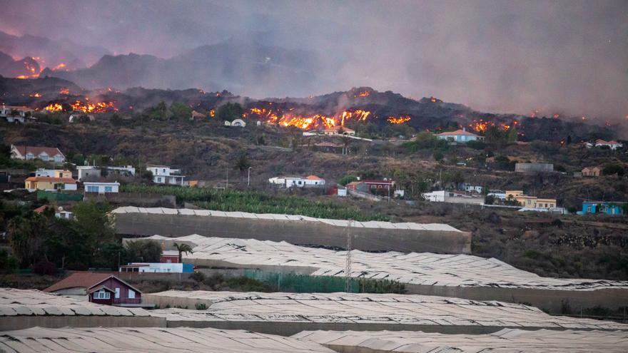 Preocupación por la afección del volcán sobre los viñedos de La Palma
