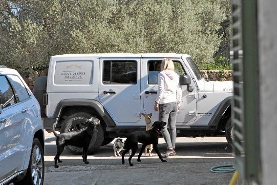 Luxus für Hund und Herrchen: die nur scheinbar konträren Geschäfte eines Schweizers, seiner Frau und einer Partnerin
