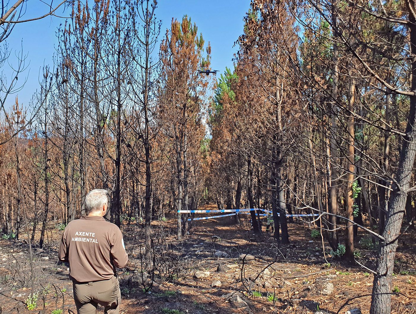Rastreadores de incendios