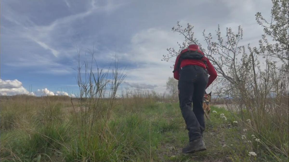 Vídeo | Dispositivo de búsqueda de los dos desaparecidos en aguas del Ebro en Zaragoza