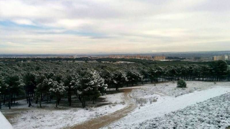 Fotogalería: Un manto blanco cubre gran parte de Aragón