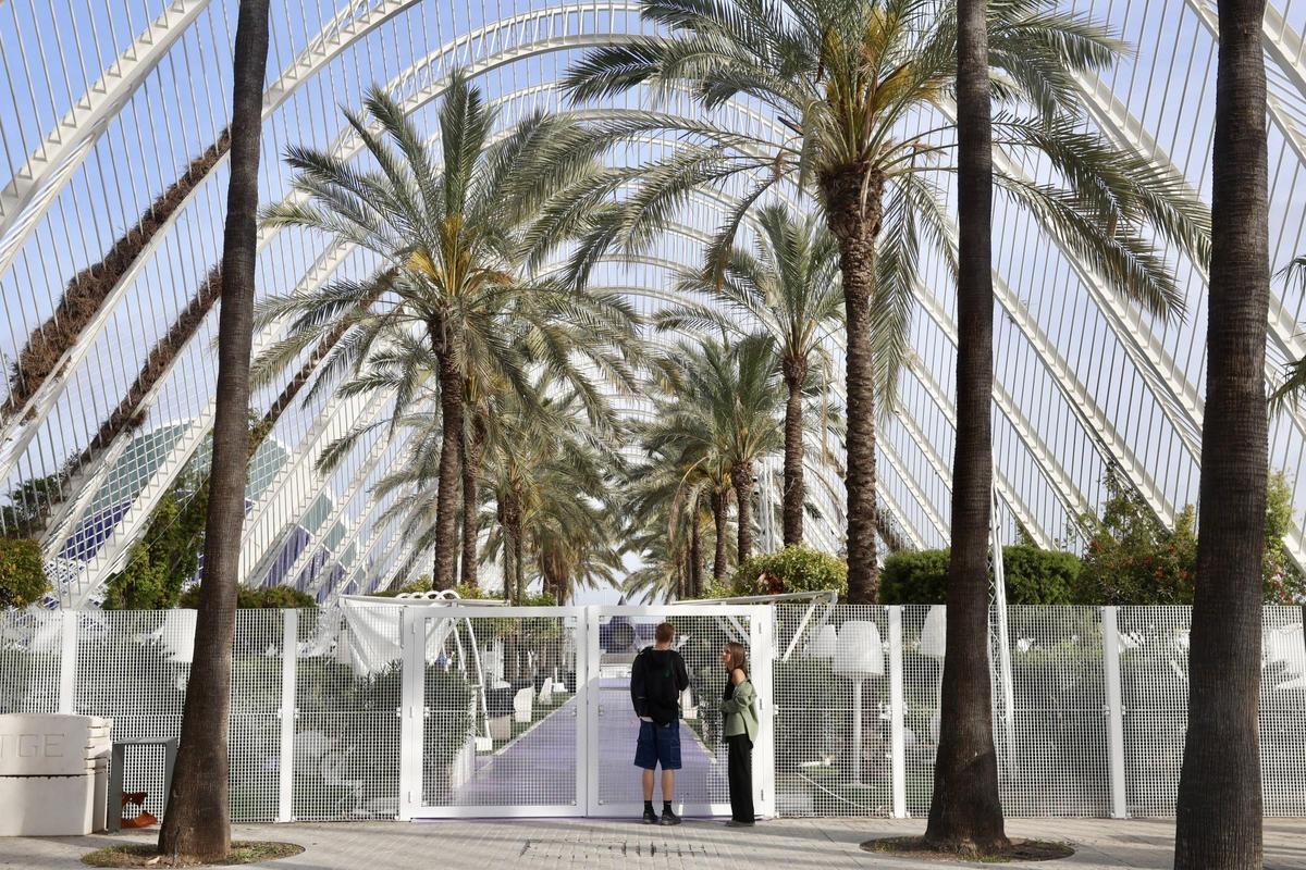 L'Umbracle prevé abrir esta noche pese a la sentencia contra el ruido