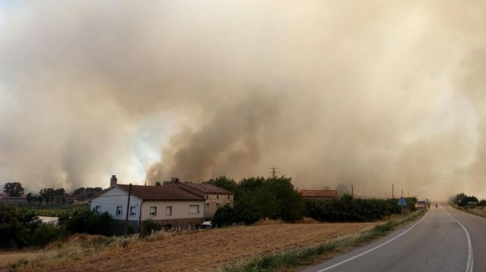 Incendi forestal a Sant Fruitós de Bages