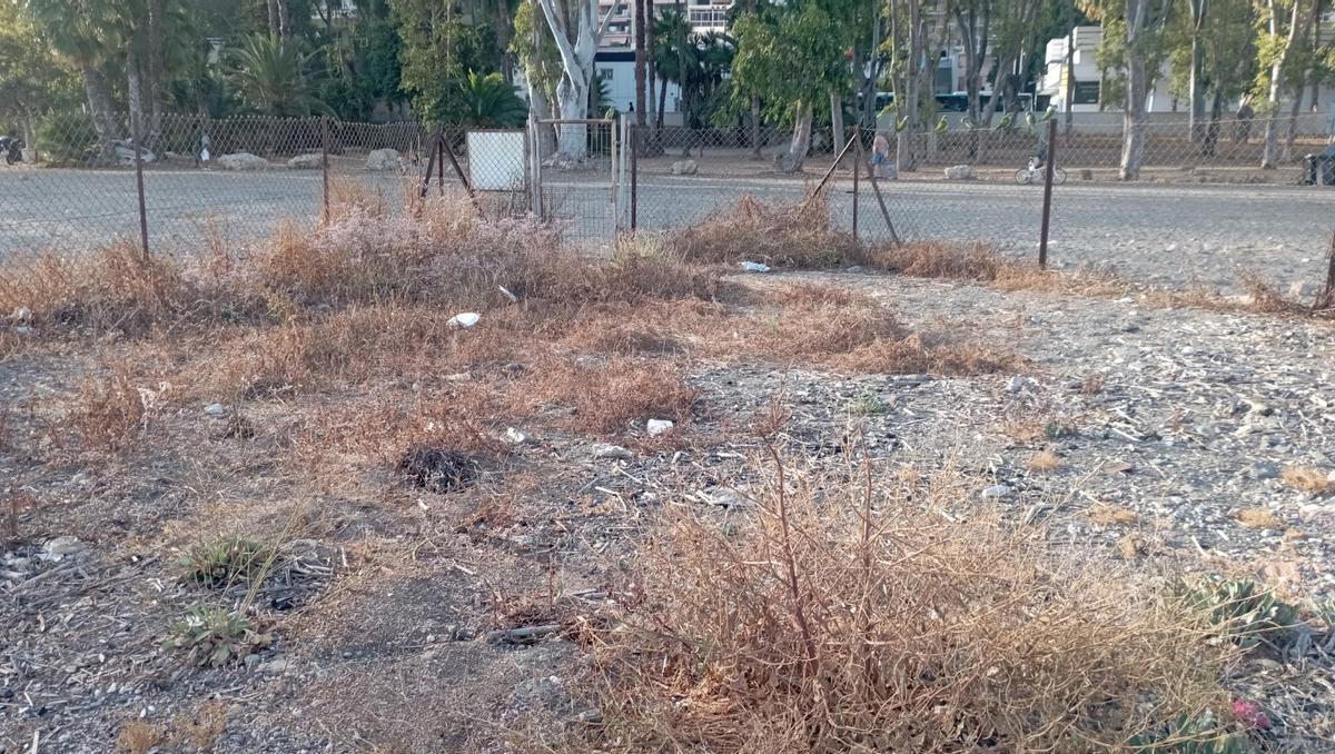 Interior de la plantación del LImonium en los baños del Carmen. Los vecinos piden la retirada de la basura y de los matojos secos.