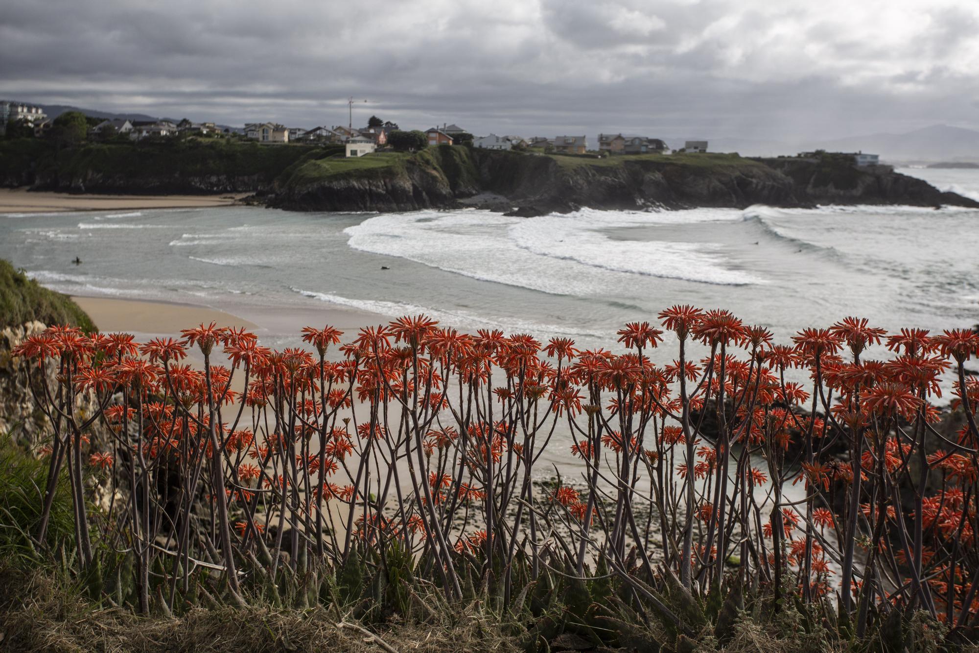 Asturianos en Tapia de Casariego, un recorrido por el municipio