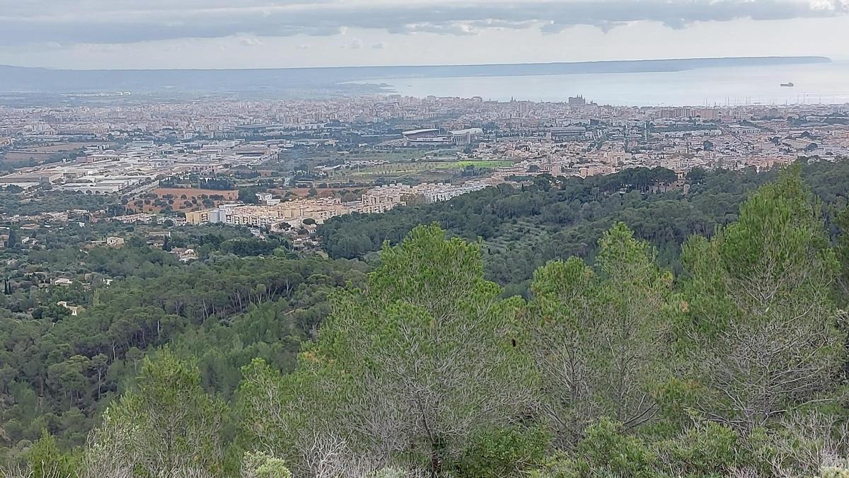 Das Keuchen wird schon früh mit einem schönen Blick auf Palma samt Bucht belohnt.