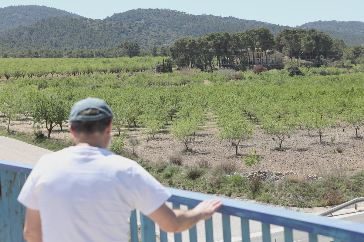 Terrenos de la zona de La Canal junto a la A-7, en la linde con Ibi, en cuyo entorno se proyecta el polígono Alcoi Sud