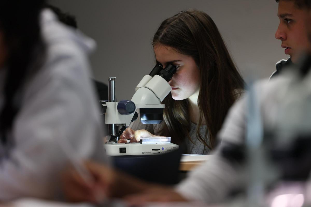 Rostro de concentración de una joven a la vez que utiliza el microscopio.