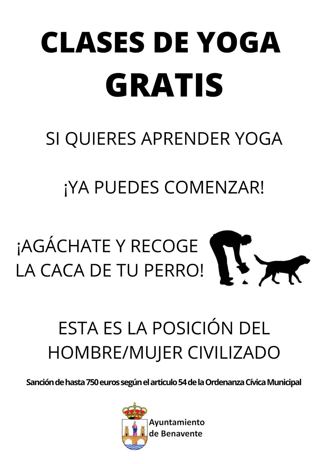 El cartel de la nueva campaña de Medio Ambiente dirigida a los propietarios de mascotas