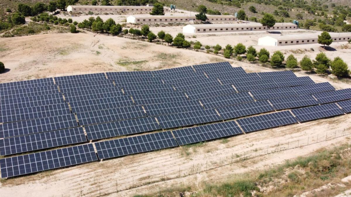 Imagen de la instalación de placas fotovoltaicas en uno de los centros productivos de Cefusa.  | L.O.