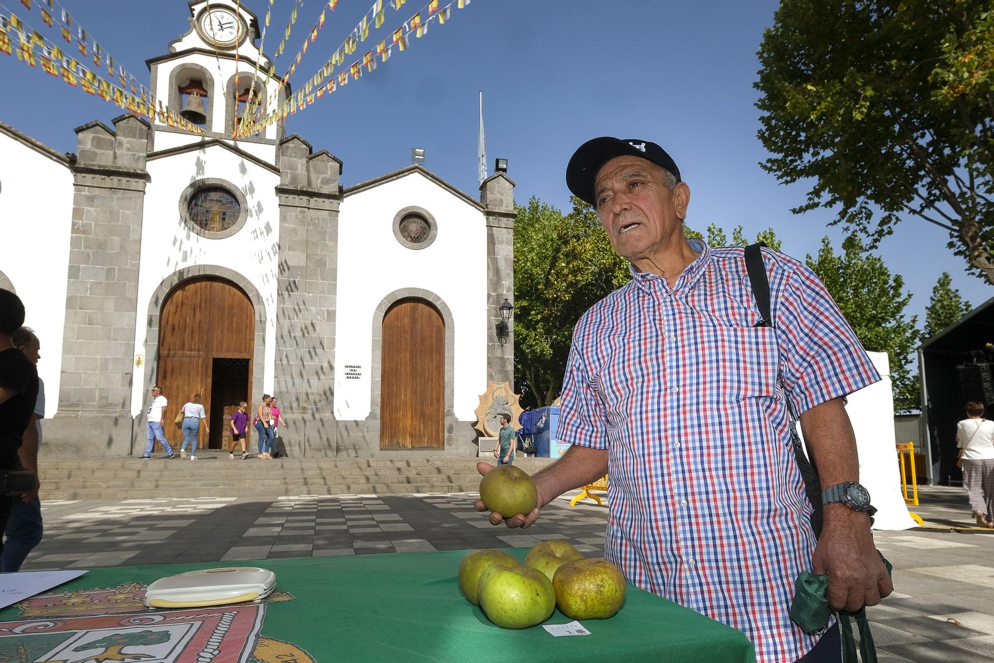 Fiesta de la manzana en Valleseco