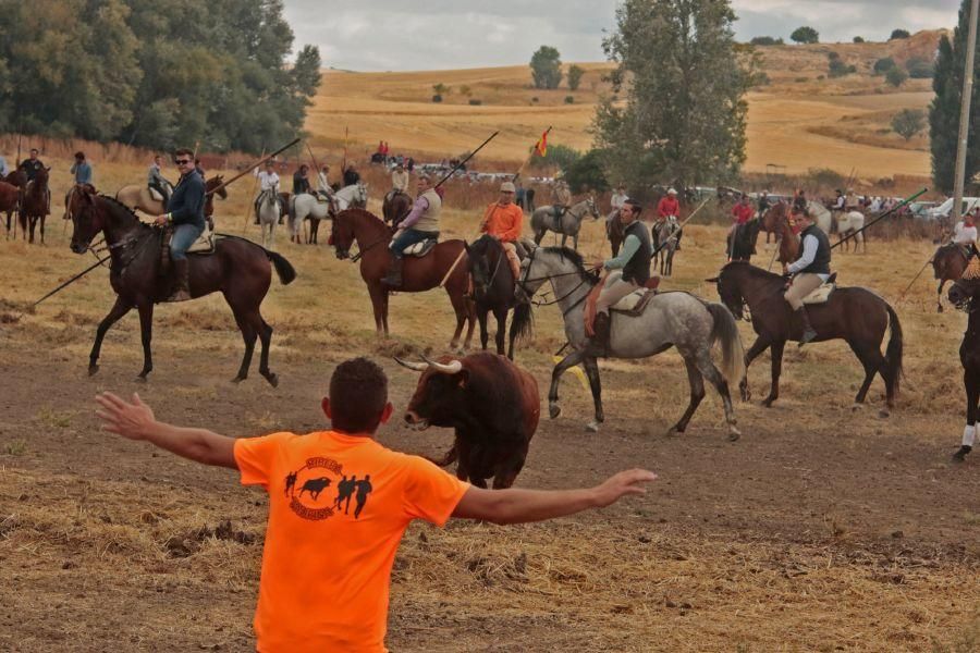 Encierro en San Miguel de la Ribera