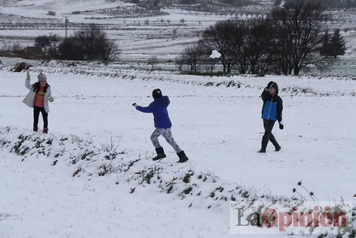 Nieve en Coy y Avilés (Lorca)