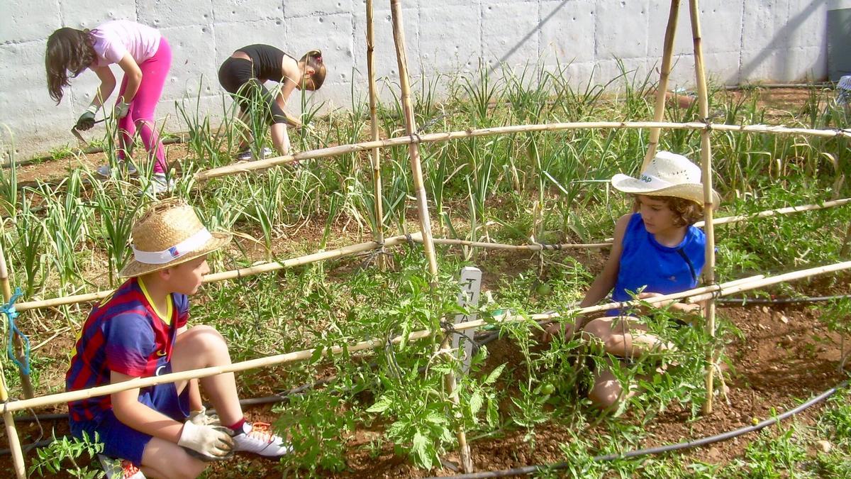 Escolares en un huerto ecológico.